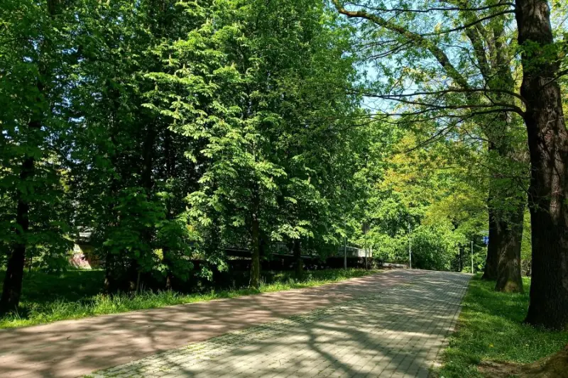 Spacer przyrodniczy i warsztaty „Naturalni sąsiedzi” w Parku Zamkowym w Raciborzu